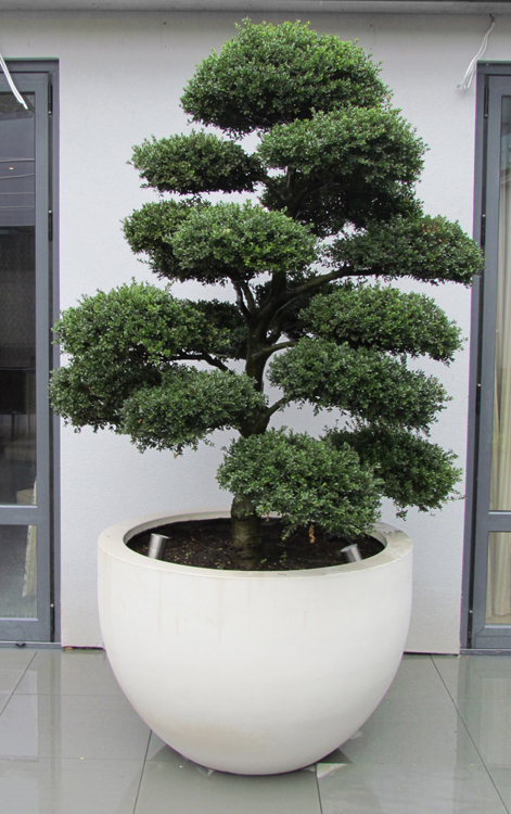 Planters - Philip Nash Design